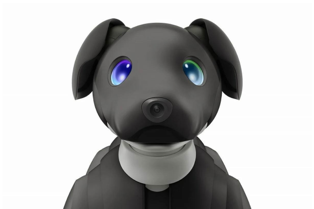 Компания Sony выпустила щенка со встроенной нейросетью Aibo.