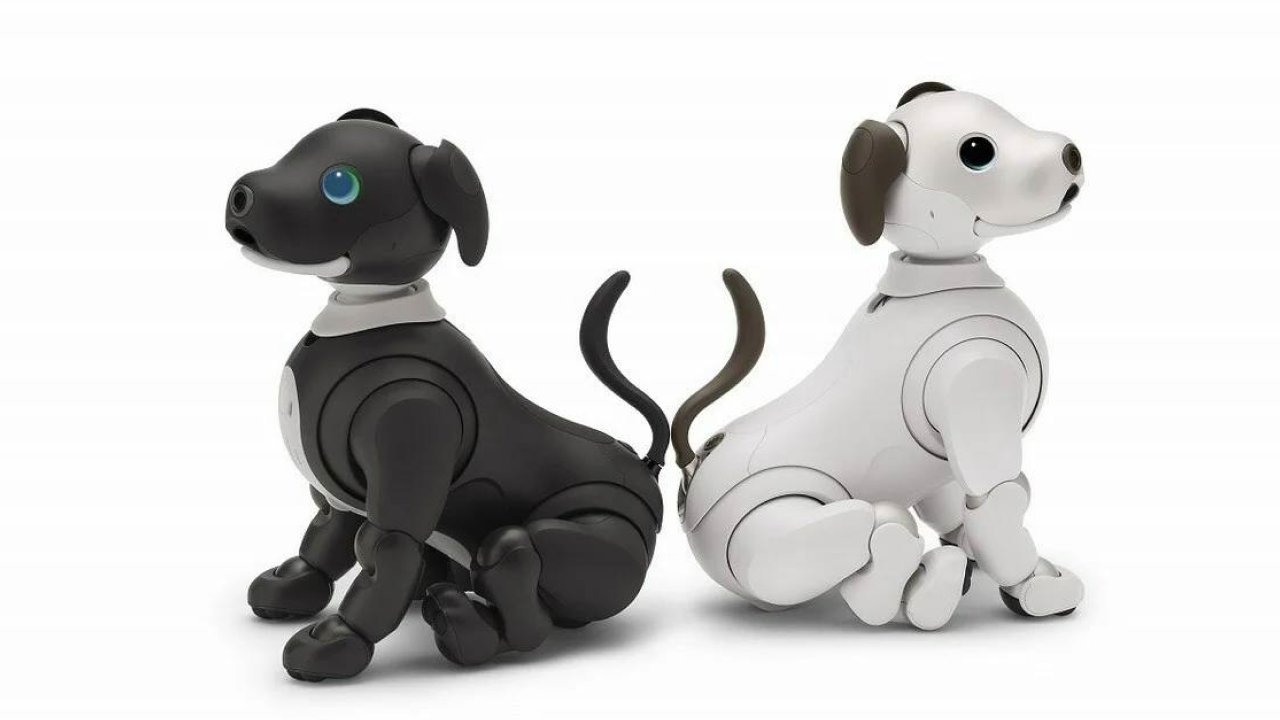 Компания Sony выпустила щенка со встроенной нейросетью Aibo.