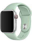 Ремешок TFN Silicone для Apple Watch 38/40mm